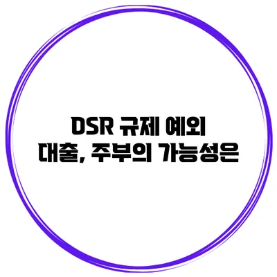 DSR 규제 예외 대출, 주부의 가능성은?
