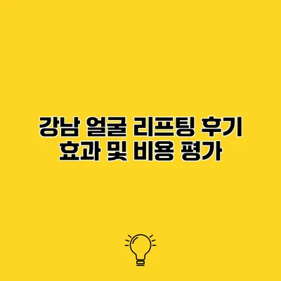 강남 얼굴 리프팅 후기 효과 및 비용 평가