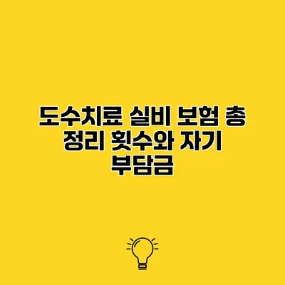 도수치료 실비 보험 총 정리 횟수와 자기 부담금
