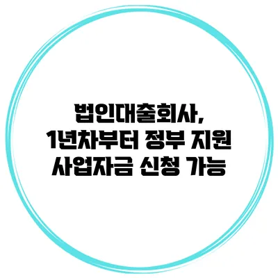 법인대출회사, 1년차부터 정부 지원 사업자금 신청 가능
