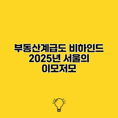 부동산계급도 비하인드 2025년 서울의 이모저모