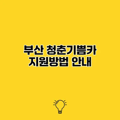 부산 청춘기쁨카 지원방법 안내