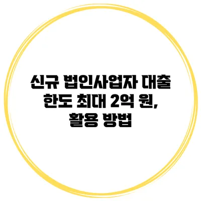 신규 법인사업자 대출 한도 최대 2억 원, 활용 방법