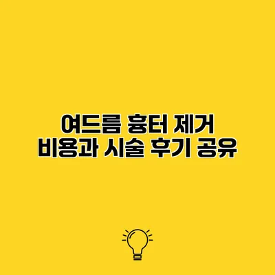 여드름 흉터 제거 비용과 시술 후기 공유