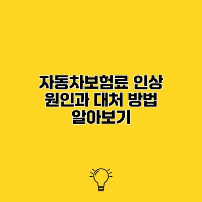 자동차보험료 인상 원인과 대처 방법 알아보기