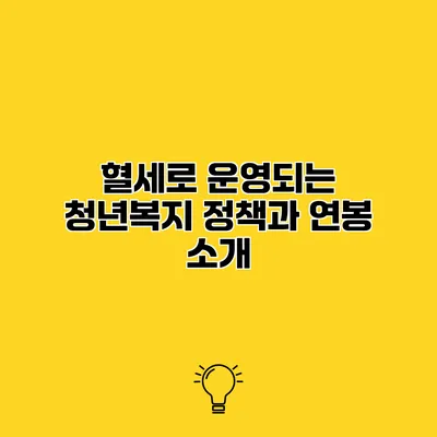 혈세로 운영되는 청년복지 정책과 연봉 소개