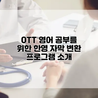 OTT 영어 공부를 위한 한영 자막 변환 프로그램 소개